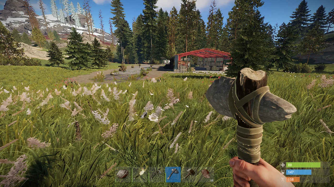 Misc Options for vision and movement in Rust